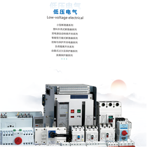 TAS-DYCP低壓類框架和塑殼斷路器和雙電源及保護(hù)開關(guān)